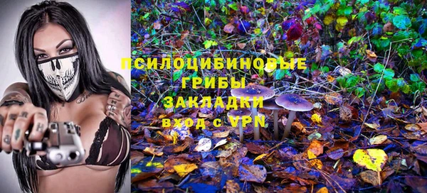 эйфоретик Белоозёрский