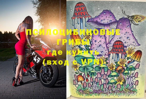 эйфоретик Белоозёрский