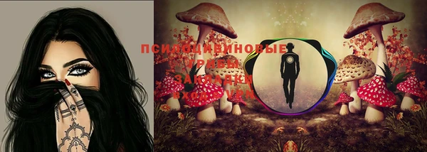альфа пвп Беломорск